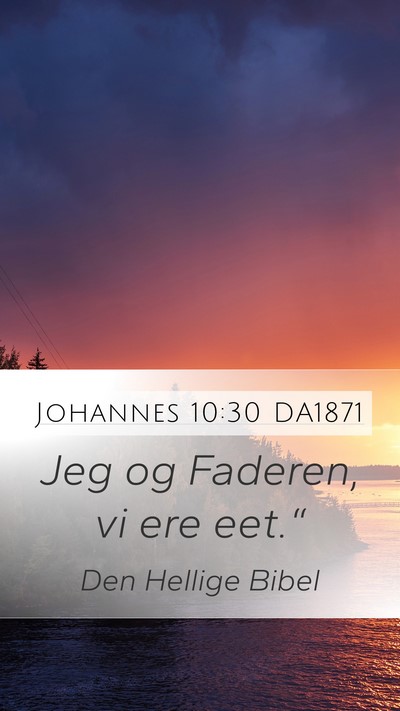 Johannes 10:30 DA1871 Bible Verse Image