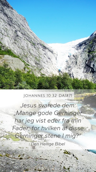 Johannes 10:32 DA1871 Bible Verse Image
