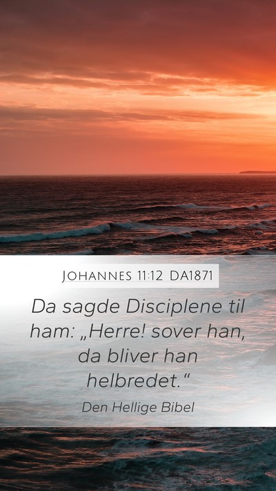 Johannes 11:12 DA1871 Mobile Phone Wallpaper - Da sagde Disciplene til ham: „Herre! sover han, - Mobile Bible Verse Wallpaper