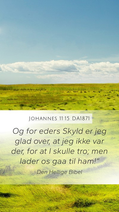 Johannes 11:15 DA1871 Bible Verse Image