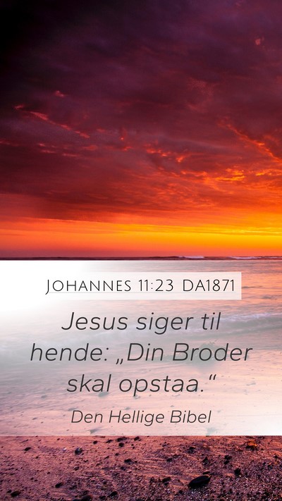 Johannes 11:23 DA1871 Bible Verse Image