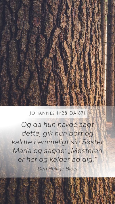 Johannes 11:28 DA1871 Bible Verse Image
