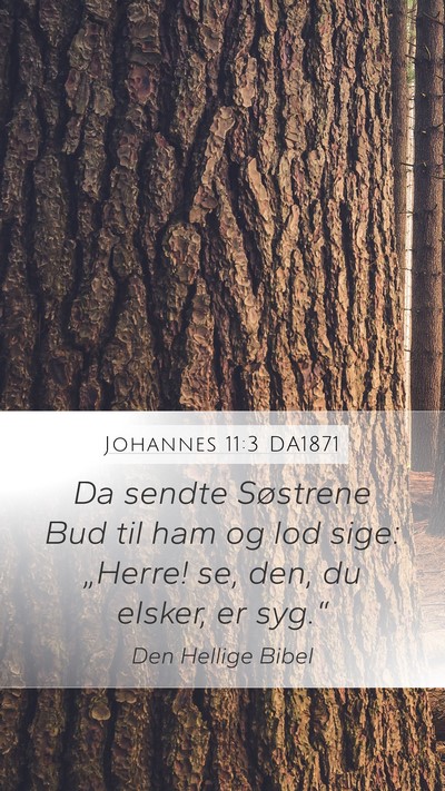 Johannes 11:3 DA1871 Bible Verse Image