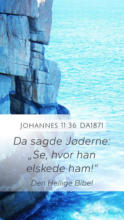 Johannes 11:36 DA1871 Bible Verse Image