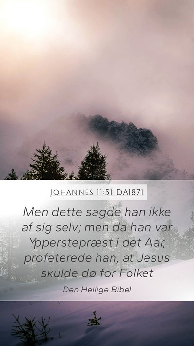 Johannes 11:51 DA1871 Bible Verse Image