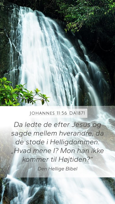 Johannes 11:56 DA1871 Bible Verse Image