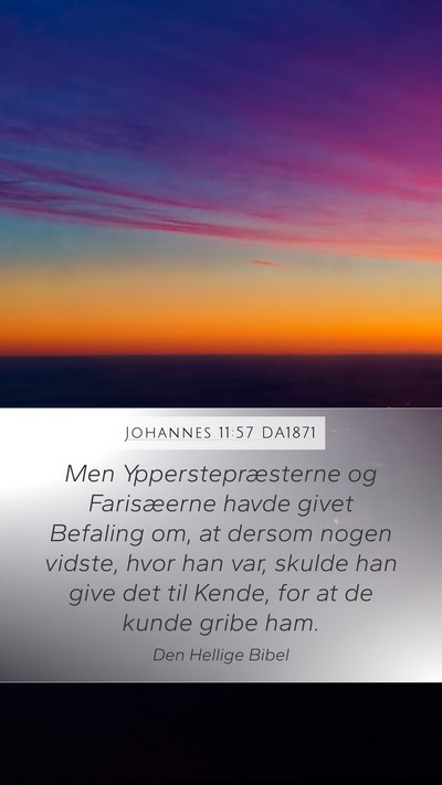 Johannes 11:57 DA1871 Bible Verse Image