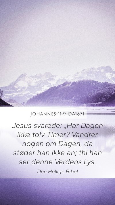 Johannes 11:9 DA1871 Bible Verse Image