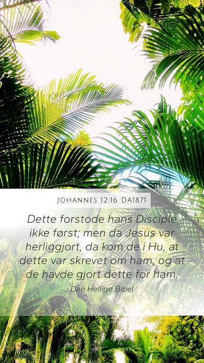 Johannes 12:16 DA1871 Bible Verse Image