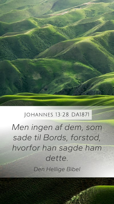 Johannes 13:28 DA1871 Mobile Phone Wallpaper - Men ingen af dem, som sade til Bords, forstod, - Mobile Bible Verse Wallpaper