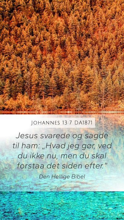 Johannes 13:7 DA1871 Bible Verse Image