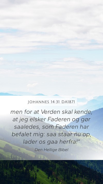 Johannes 14:31 DA1871 Bible Verse Image