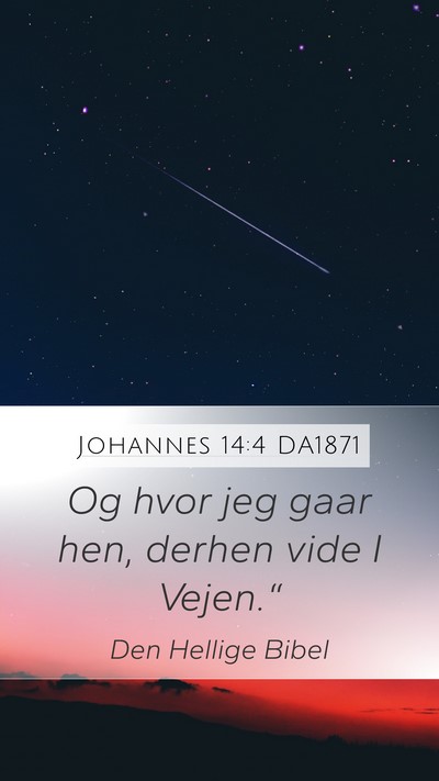 Johannes 14:4 DA1871 Bible Verse Image