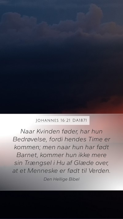 Johannes 16:21 DA1871 Bible Verse Image