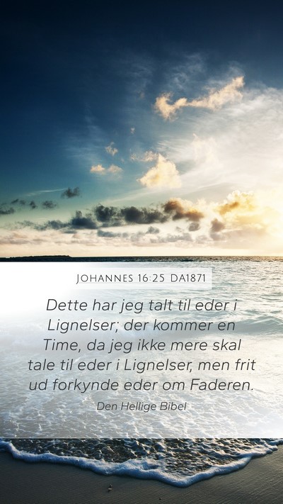 Johannes 16:25 DA1871 Bible Verse Image