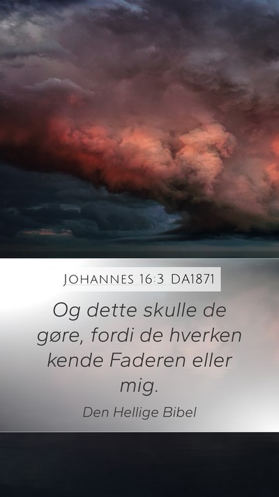 Johannes 16:3 DA1871 Bible Verse Image