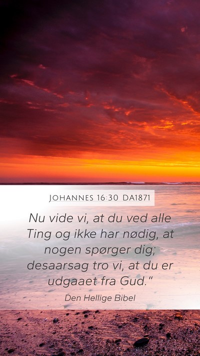 Johannes 16:30 DA1871 Bible Verse Image