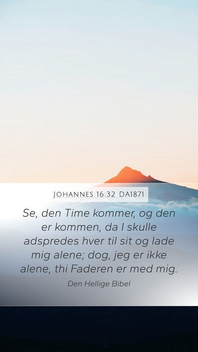 Johannes 16:32 DA1871 Bible Verse Image