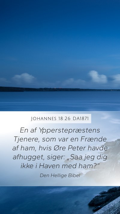 Johannes 18:26 DA1871 Bible Verse Image