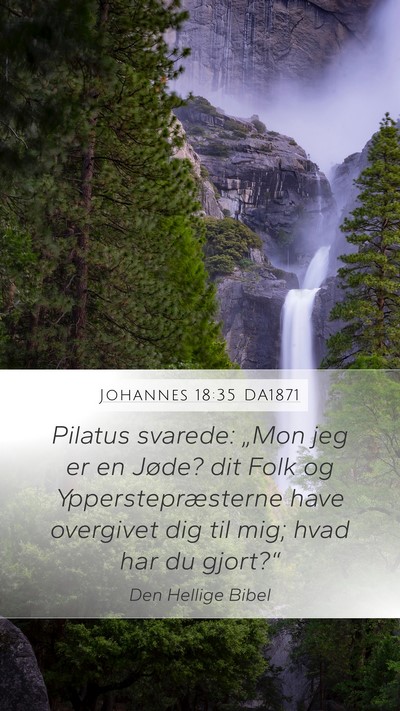 Johannes 18:35 DA1871 Bible Verse Image