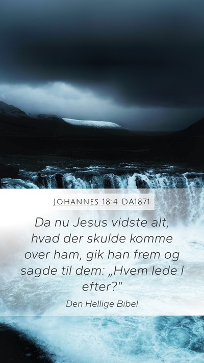 Johannes 18:4 DA1871 Bible Verse Image