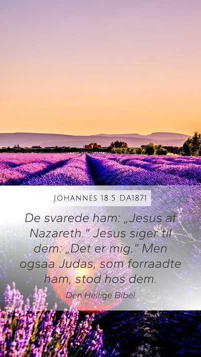 Johannes 18:5 DA1871 Bible Verse Image