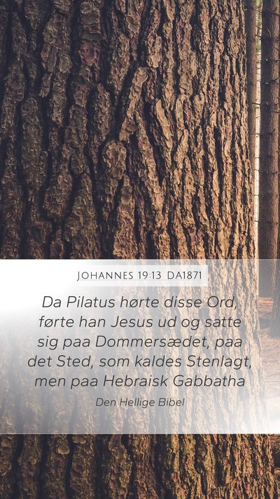 Johannes 19:13 DA1871 Mobile Phone Wallpaper - Da Pilatus hørte disse Ord, førte han Jesus ud - Mobile Bible Verse Wallpaper