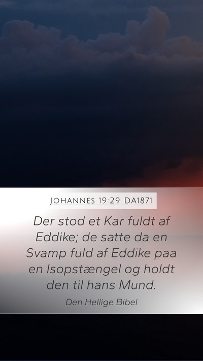 Johannes 19:29 DA1871 Bible Verse Image