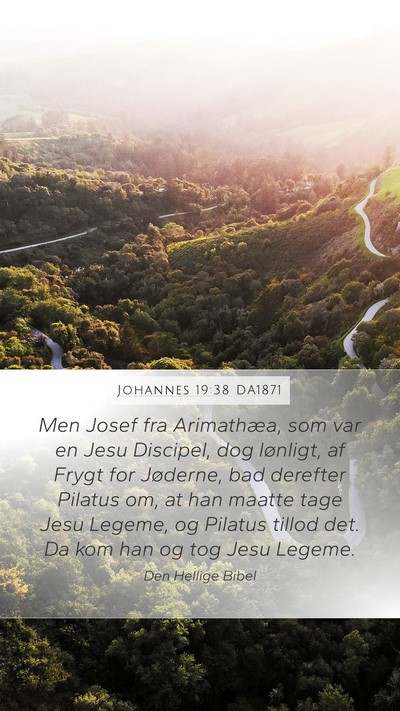 Johannes 19:38 DA1871 Bible Verse Image