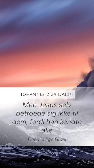 Johannes 2:24 DA1871 Bible Verse Image