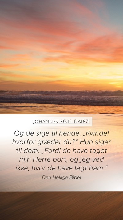 Johannes 20:13 DA1871 Bible Verse Image
