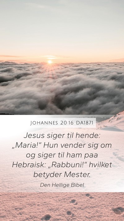 Johannes 20:16 DA1871 Bible Verse Image