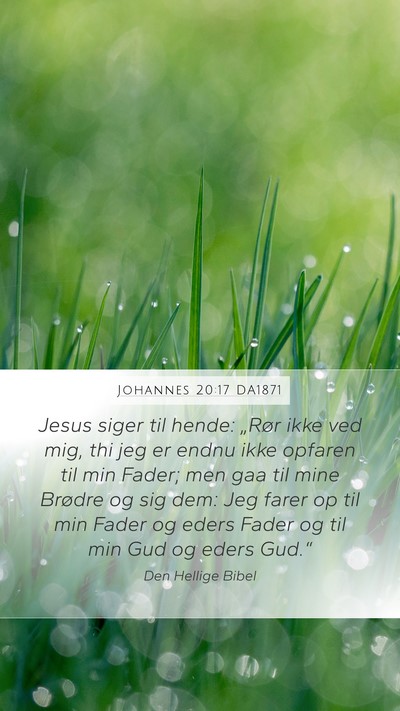 Johannes 20:17 DA1871 Bible Verse Image