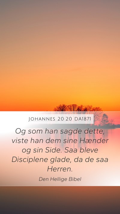 Johannes 20:20 DA1871 Bible Verse Image