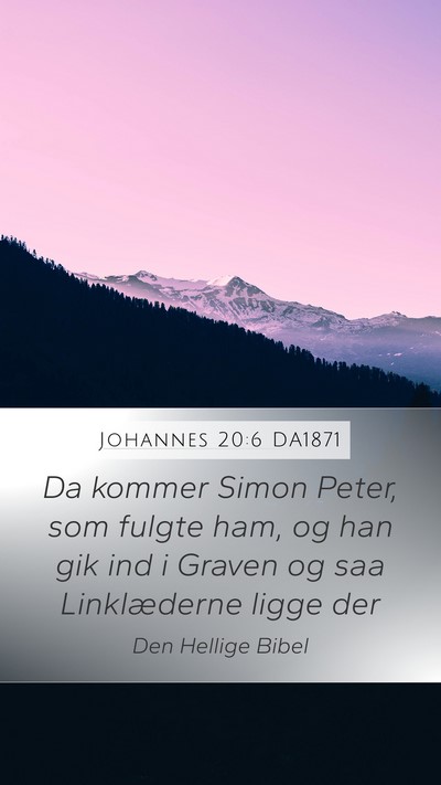 Johannes 20:6 DA1871 Bible Verse Image