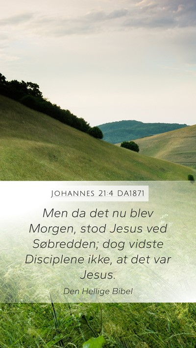 Johannes 21:4 DA1871 Bible Verse Image
