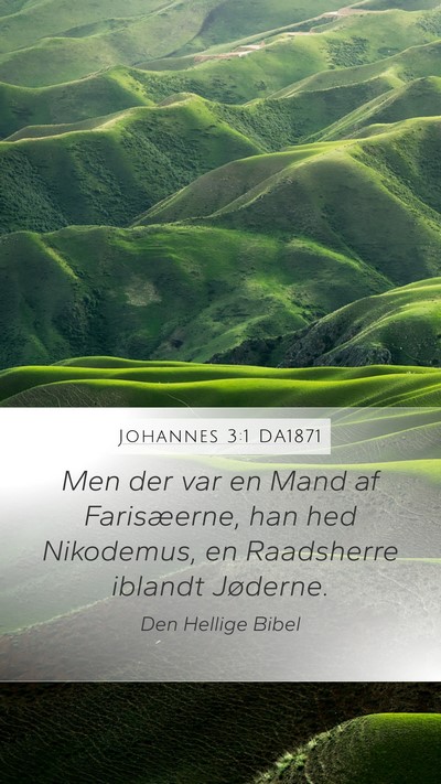 Johannes 3:1 DA1871 Bible Verse Image