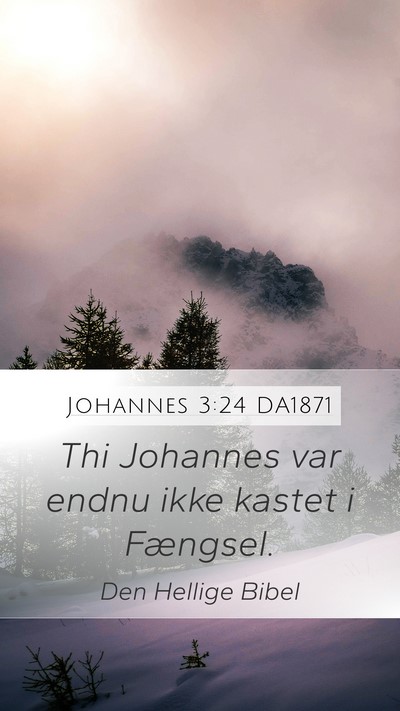 Johannes 3:24 DA1871 Bible Verse Image