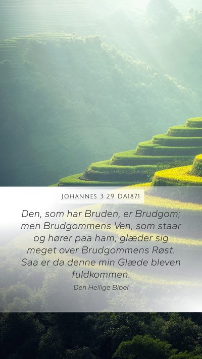 Johannes 3:29 DA1871 Bible Verse Image