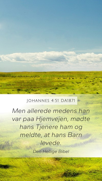 Johannes 4:51 DA1871 Mobile Phone Wallpaper - Men allerede medens han var paa Hjemvejen, mødte - Mobile Bible Verse Wallpaper