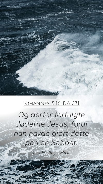 Johannes 5:16 DA1871 Bible Verse Image
