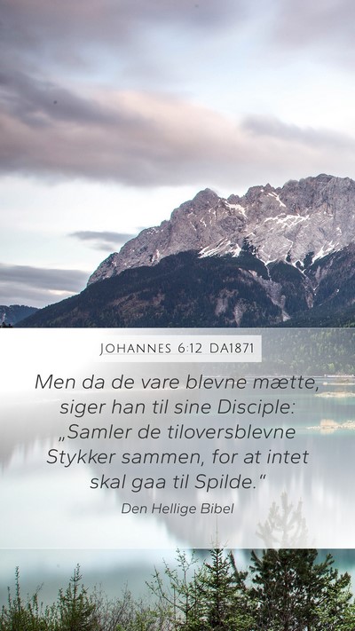 Johannes 6:12 DA1871 Bible Verse Image