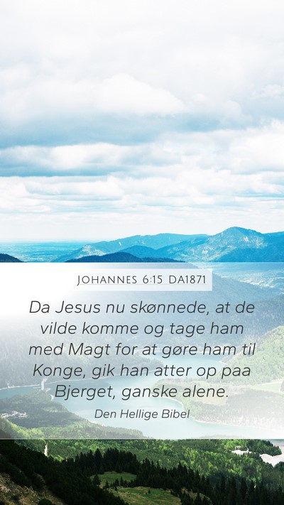 Johannes 6:15 DA1871 Bible Verse Image