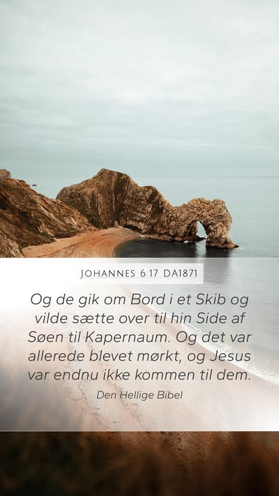 Johannes 6:17 DA1871 Bible Verse Image