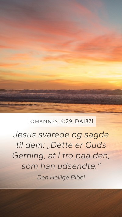 Johannes 6:29 DA1871 Bible Verse Image