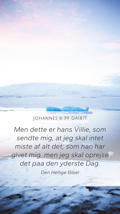 Johannes 6:39 DA1871 Bible Verse Image