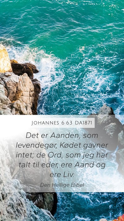 Johannes 6:63 DA1871 Bible Verse Image