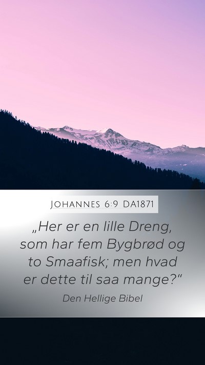 Johannes 6:9 DA1871 Bible Verse Image