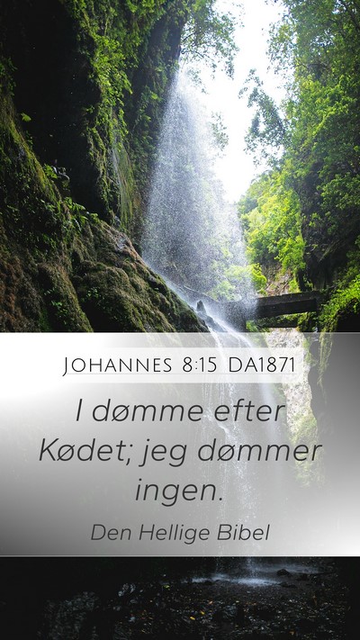 Johannes 8:15 DA1871 Bible Verse Image