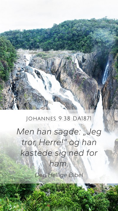 Johannes 9:38 DA1871 Bible Verse Image